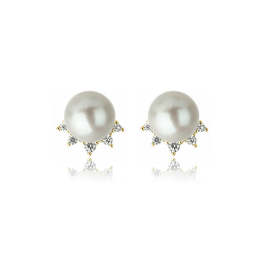 OCEANS COOGEE FRESHWATER PEARL EARRINGS GOLD